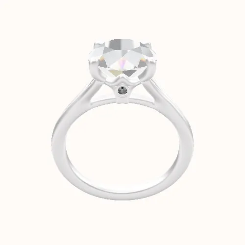 Split Cathedral Engagement Ring With Crown 4 Prong Surprise Diamond Head